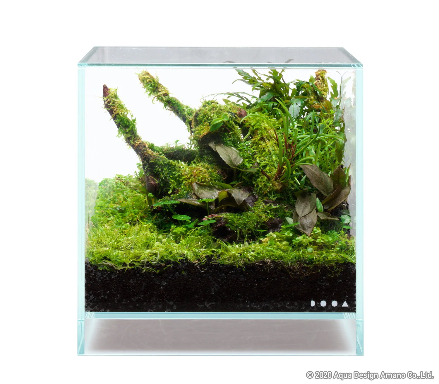 Misty Cliff Column Terrarium