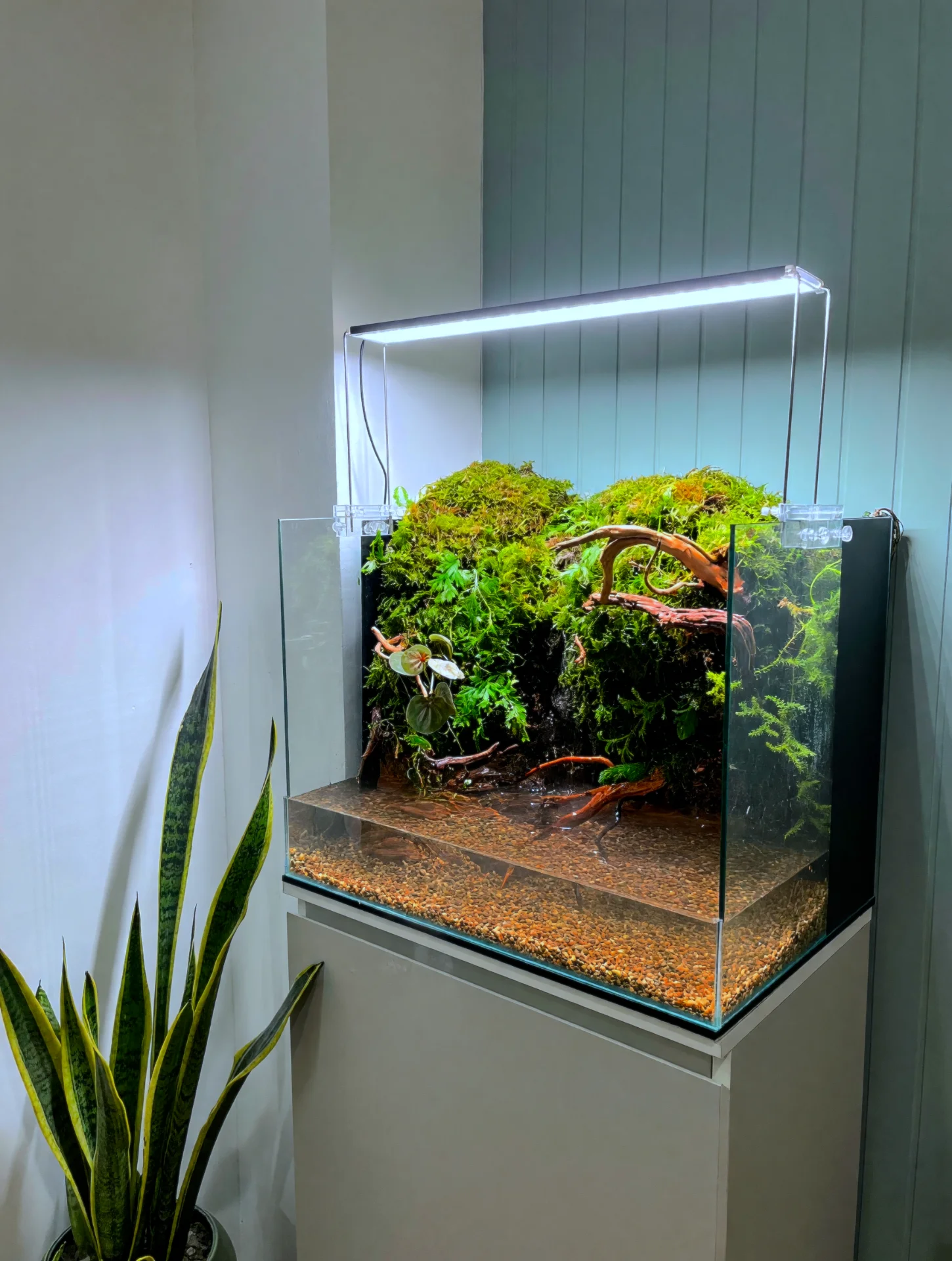 Custom Nature Living Masterpiece