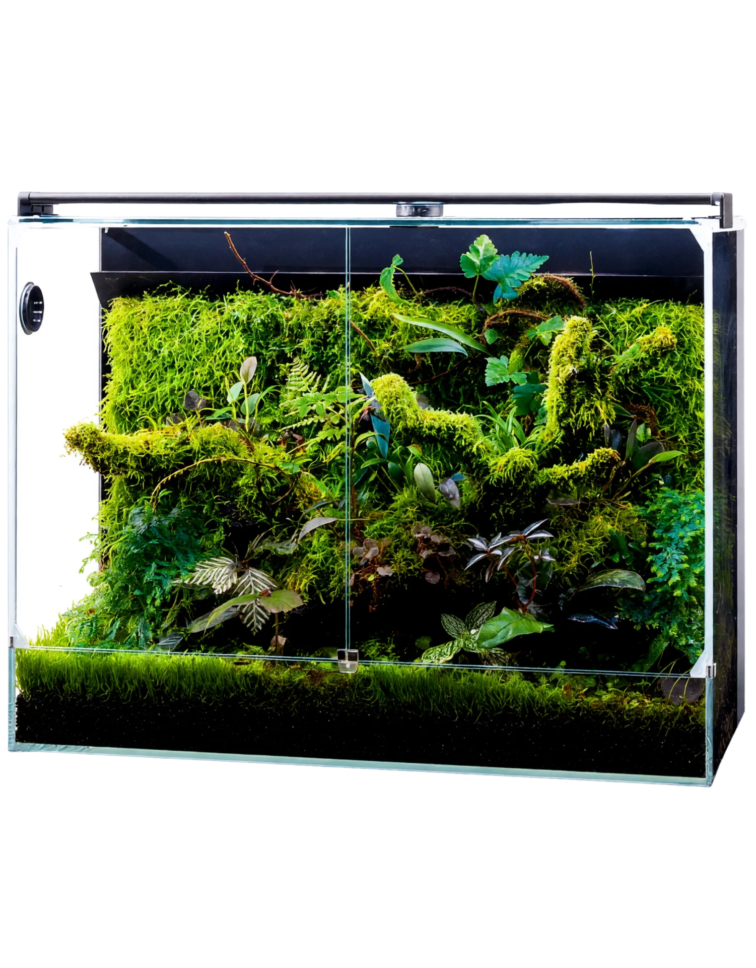 Paludarium